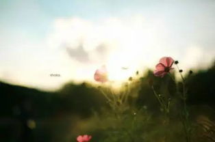 句子,能量,空間,QQ