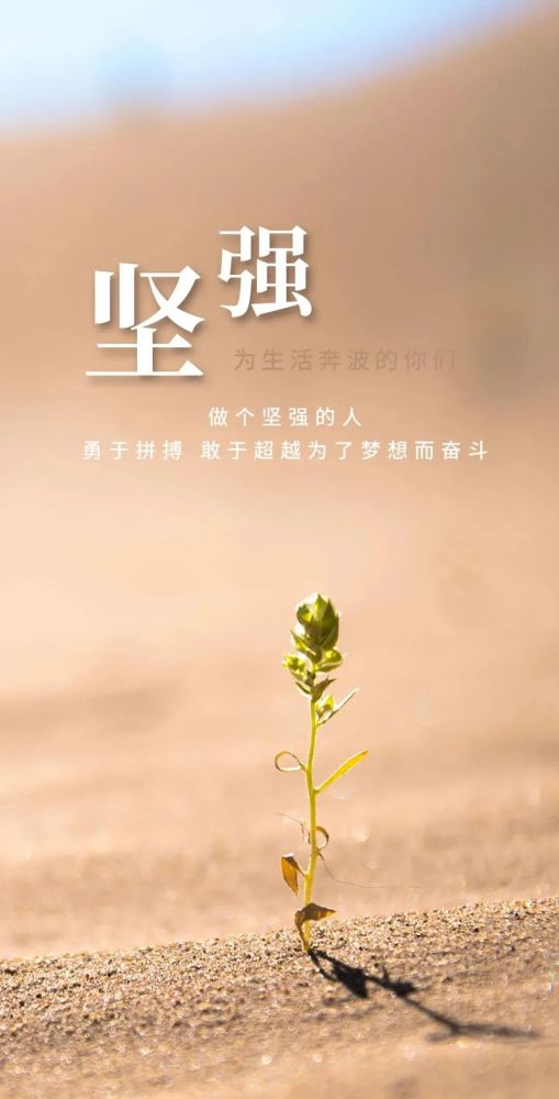 句子,能量,適合