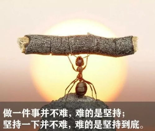 正能量愛情句子張愛玲