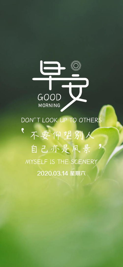 贊美好人正能量的句子,贊美好人好事正能量的句子,贊美團(tuán)隊(duì)精神正能量的句子