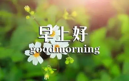 早安,句子,能量