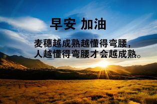 句子,勵志,海報,能量