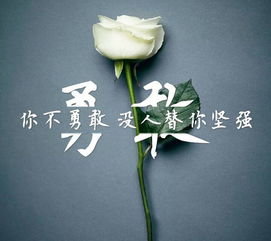 鼓勵(lì)自己好好學(xué)習(xí)的正能量句子