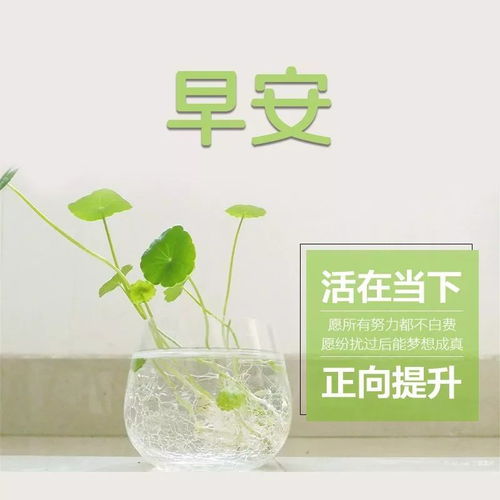 玻璃杯正能量句子