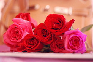 攜手同行正能量的句子