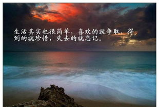 堅(jiān)持原則的句子,關(guān)于堅(jiān)持原則和底線的句子,堅(jiān)持原則的優(yōu)美句子