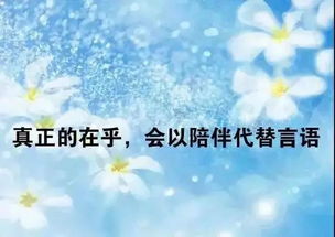 關于堅持的正能量句子,正能量優(yōu)秀句子,正能量滿滿的勵志句子