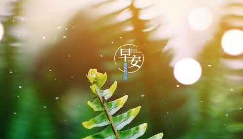 積極陽(yáng)光正能量個(gè)性簽名句子