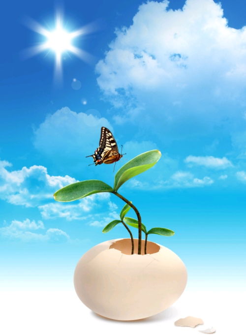 努力向上正能量的句子短句,正能量向上的句子簡短認(rèn)真生活,陽光向上正能量的句子