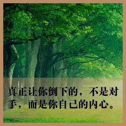 做事業(yè)正能量的句子經(jīng)典語句,為事業(yè)奮斗的正能量句子,對事業(yè)充滿正能量的句子