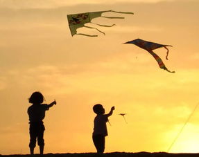 句子,能量,勞動(dòng),工作