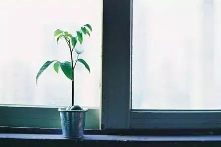 正能量愛世界萬物的句子