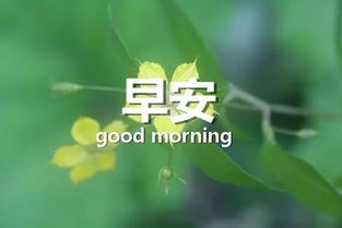 早安,句話,句子,能量