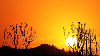 關(guān)于夕陽(yáng)正能量的句子,描寫正能量的優(yōu)美句子,描寫老同志正能量的句子