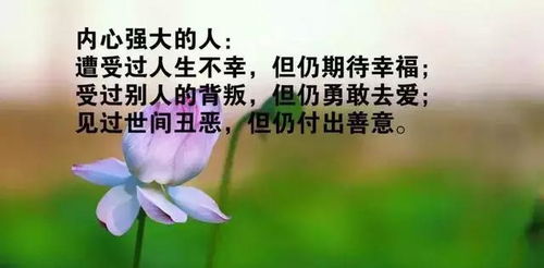 正能量向上句子簡短