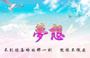 團(tuán)隊(duì)精神,句子,能量,夢(mèng)想