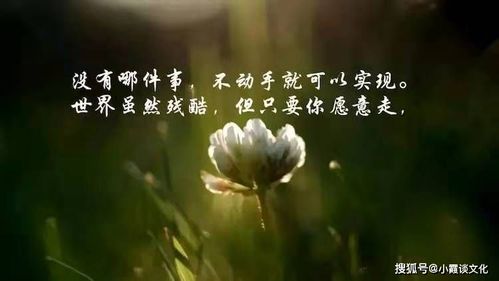 說過,句子,能量