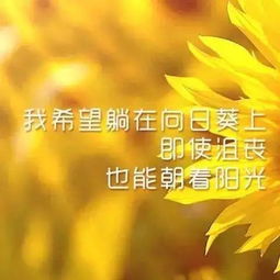 早安,句子,勵志,能量