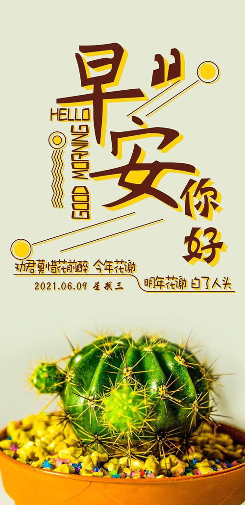 關(guān)于黨的正能量句子,黨的正能量句子勵(lì)志短句子,有關(guān)黨的積極正能量的句子