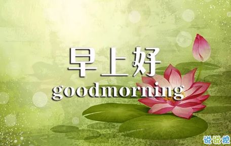句子,早上好,能量,女生