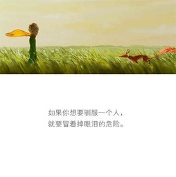 小王子,句子,能量