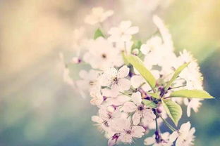 愛(ài)情網(wǎng)紅最新句子正能量