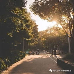 喜歡情感勵志正能量的句子,勵志上進正能量句子,句句激勵自己!,人生情感正能量勵志的句子