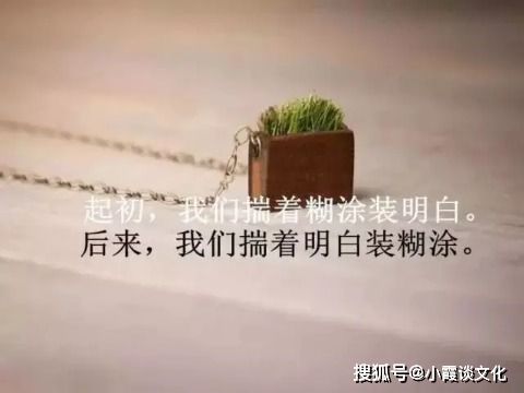 女人發(fā)朋友圈正能量的句子,女人正能量的句子適合早上發(fā)朋友圈,女人獨(dú)立正能量的句子發(fā)朋友圈