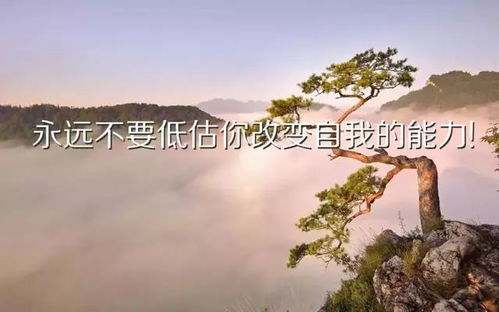 2021正能量的句子經(jīng)典語句和