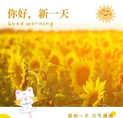 周一正能量的句子經(jīng)典