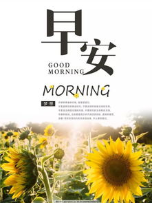 女人賺錢的正能量句子,女人早安正能量的句子和大全,早安努力賺錢正能量句子