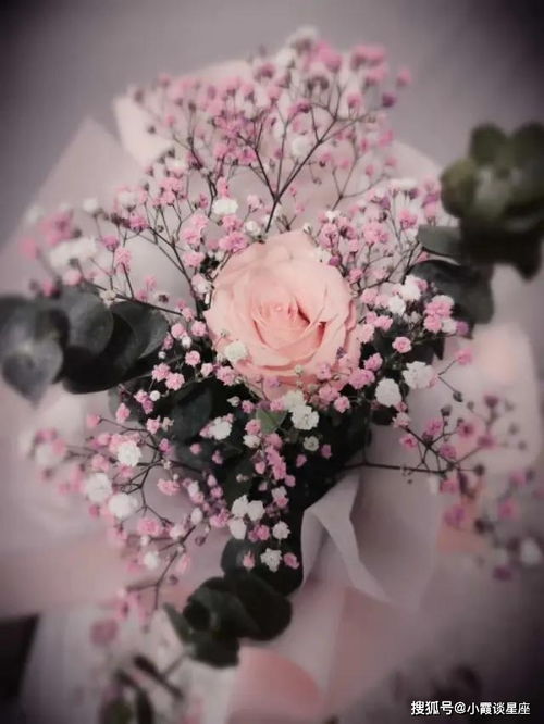 簡短,句子,能量,向上