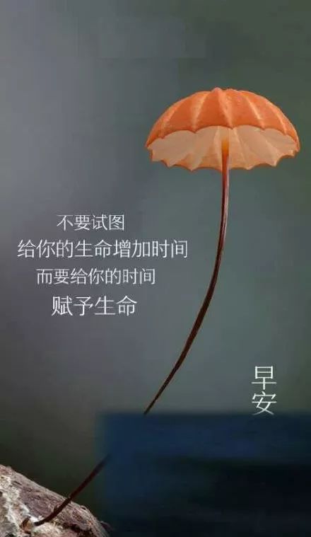 鼓勵(lì)未來人心正能量的句子