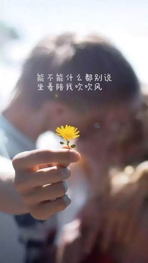 句子,能量,干凈