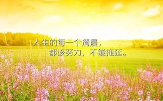 早安正能量的句子和大全,早安正能量句子和,早安正能量句子和配圖