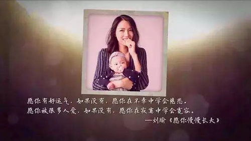 董卿說的正能量句子