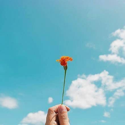 積極工作正能量的句子100字九九綜合,積極工作正能量的句子200字,積極工作正能量的句子八字