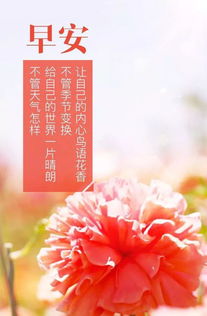 讀書正能量勵(lì)志的句子,讀書朋友圈正能量句子,關(guān)于堅(jiān)持讀書的正能量句子