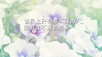 微笑正能量句子經(jīng)典