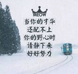 一句話分享正能量的句子