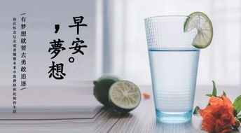 護(hù)膚品正能量的句子經(jīng)典語句,關(guān)于護(hù)膚品正能量的句子,護(hù)膚品正能量的美麗句子