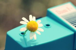 關(guān)于工作的正能量的句子_手機(jī)版