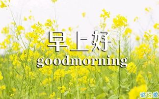 早上好的句子帶正能量,早上好新版句子正能量,早上好勵志正能量句子