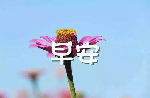 女人心態(tài)好的句子正能量短句,心態(tài)陽光正能量句子,人生正能量心態(tài)句子