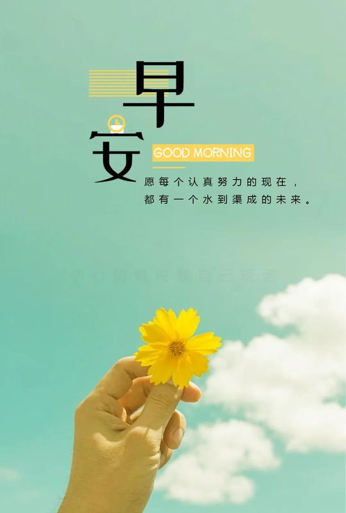 短語,句子,能量,心情