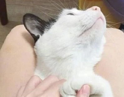 關(guān)于熬夜的正能量的句子,勵(lì)志搞笑正能量的句子,周六搞笑正能量的句子