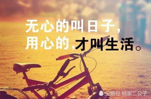 職場(chǎng)正能量故事及感悟句子