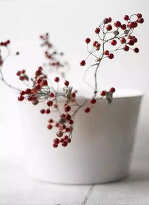 積極向上正能量事業(yè)的句子