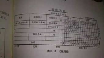 繳納社保為什么用其他應(yīng)付款,繳納社保是其他應(yīng)收款還是其他應(yīng)付款,個(gè)人繳納社保會(huì)計(jì)科目