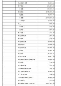 建設(shè)項(xiàng)目,會(huì)計(jì)科目,城市